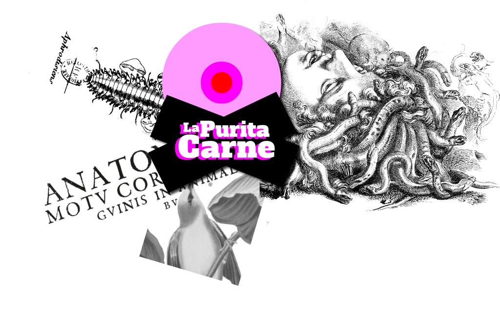 Entrada sin título 4344